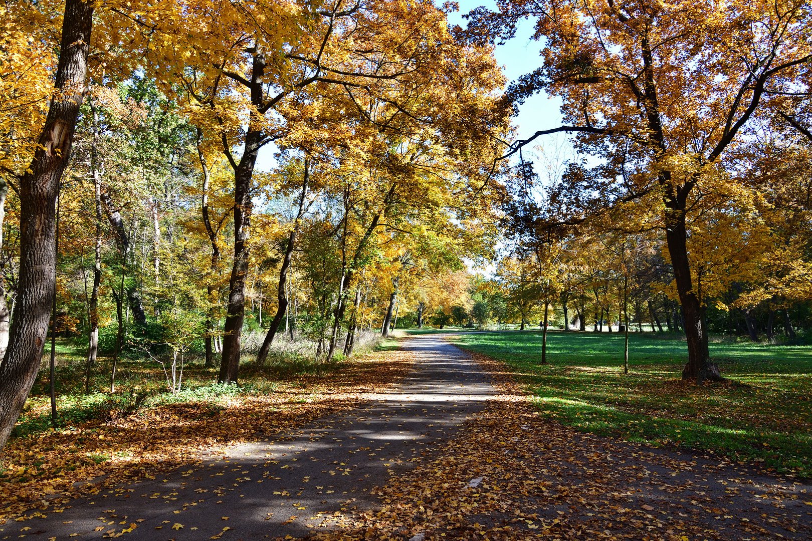 Herbstspaziergang 1