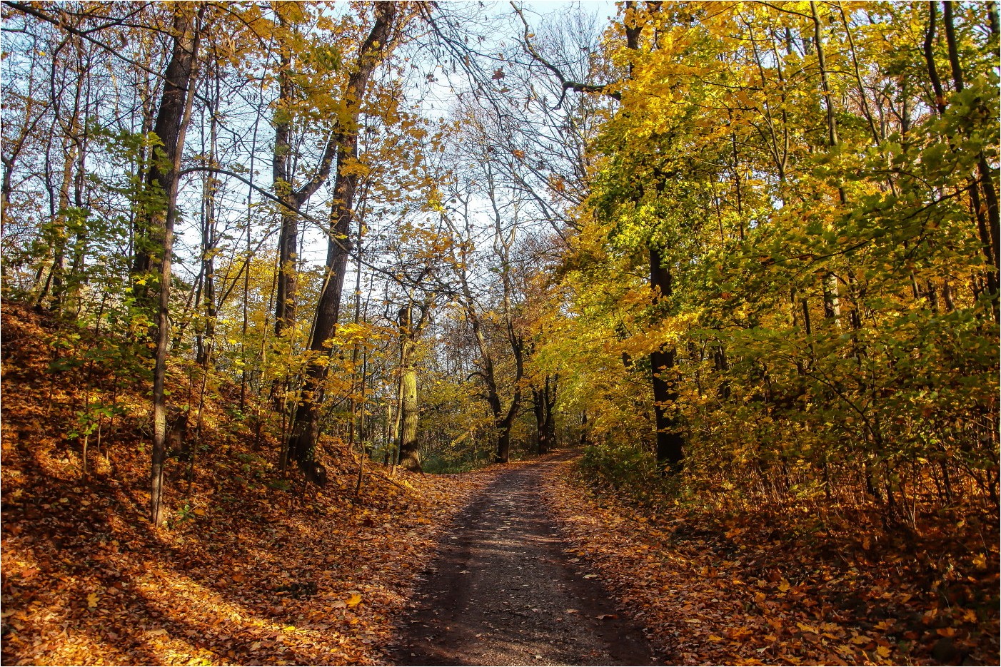 Herbstspaziergang (1)