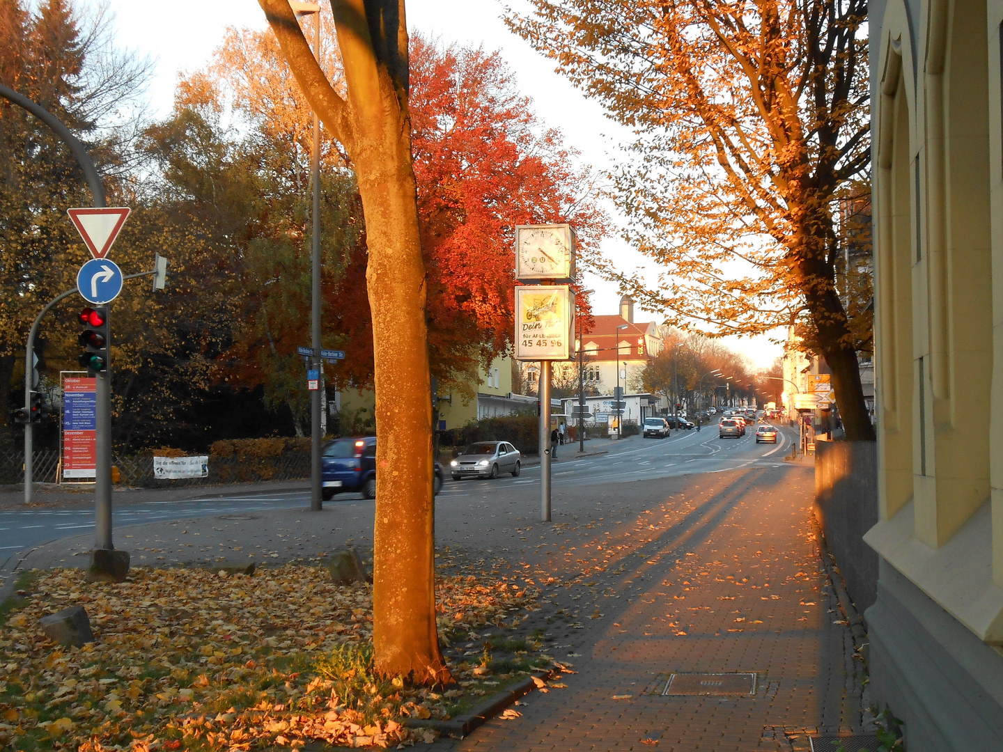 Herbstspaziergang 1