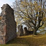 Herbstspaziergang - 1