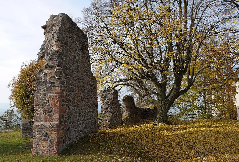 Herbstspaziergang - 1