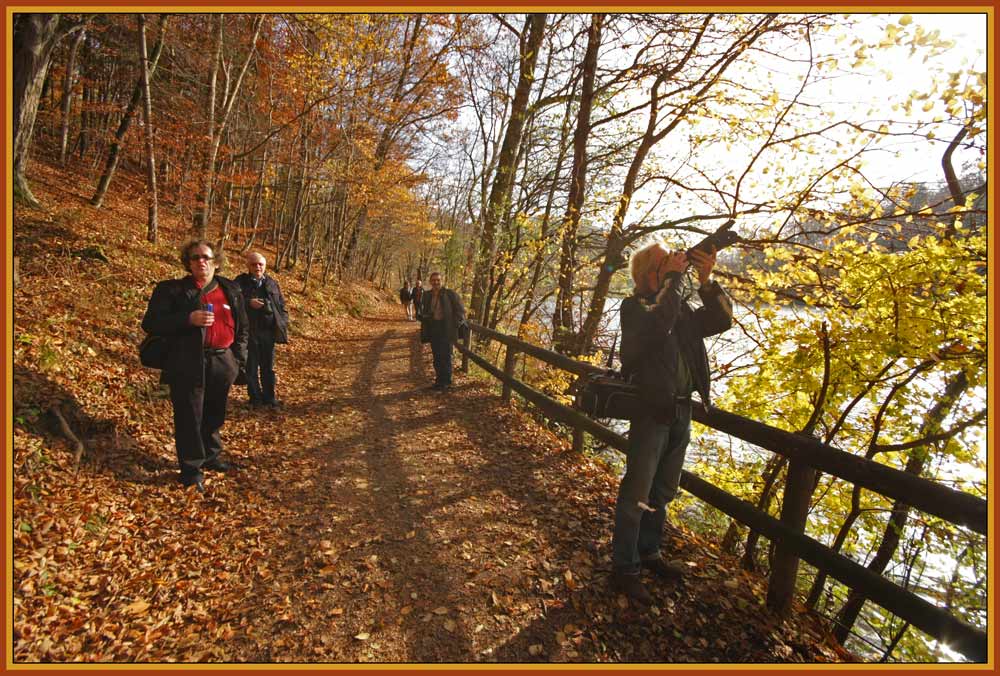 Herbstspaziergang #1