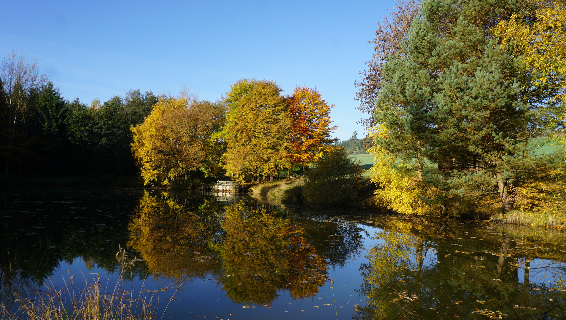 Herbstspaziergang #1