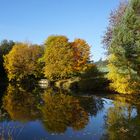 Herbstspaziergang #1