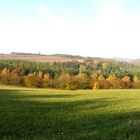 Herbstspaziergang 1. November 2009 (2)