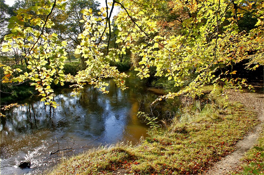 Herbstspaziergang