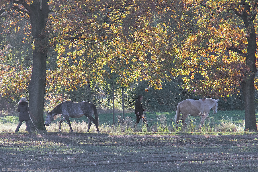 Herbstspaziergang