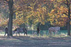 Herbstspaziergang