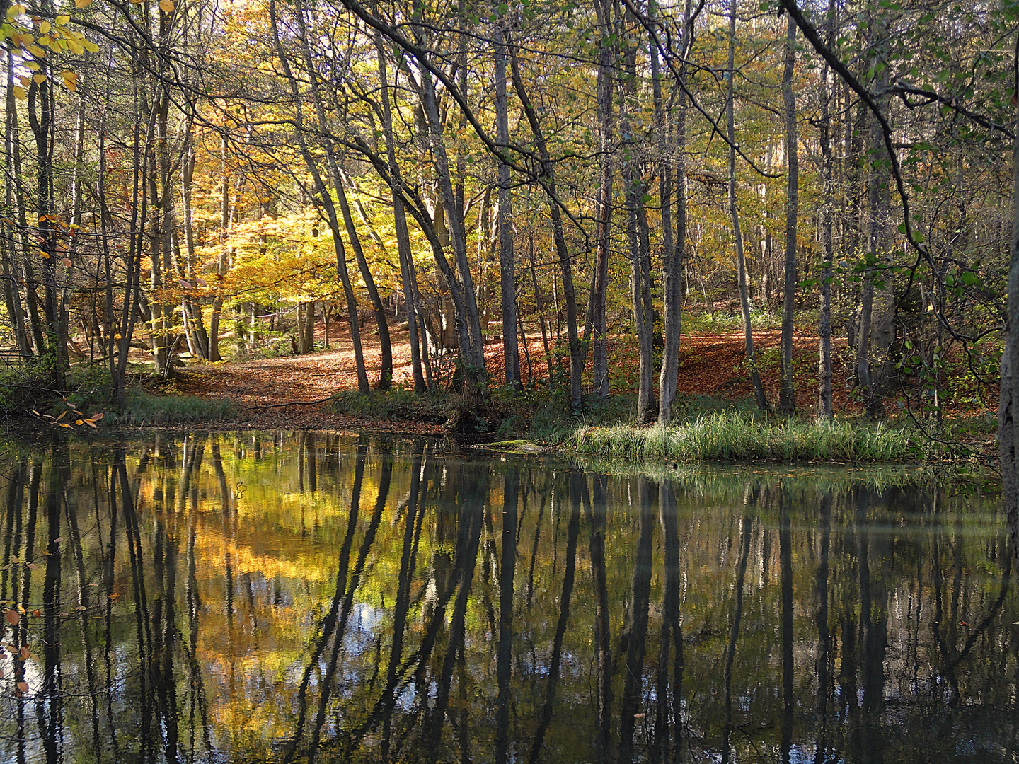  Herbstspaziergang 