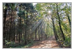 Herbstspaziergang