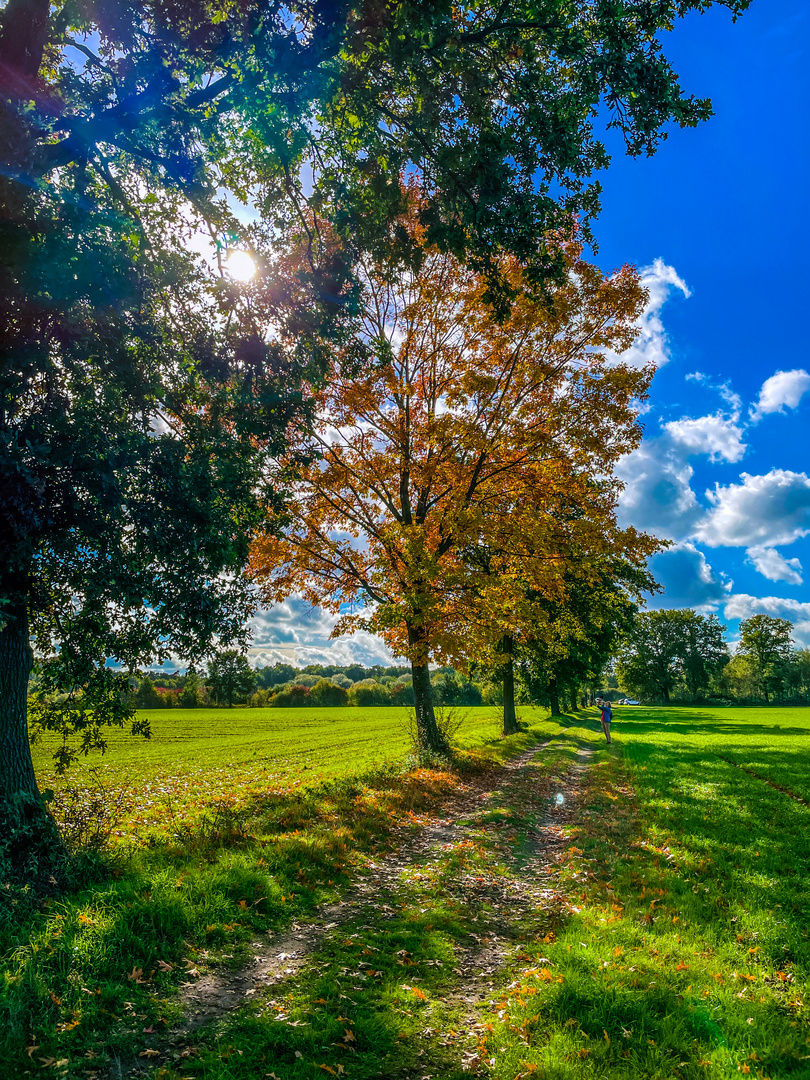 Herbstspaziergang