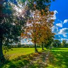 Herbstspaziergang