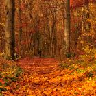 Herbstspaziergang