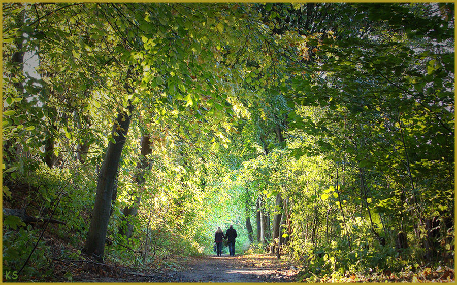 Herbstspaziergang