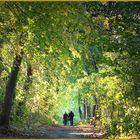 Herbstspaziergang