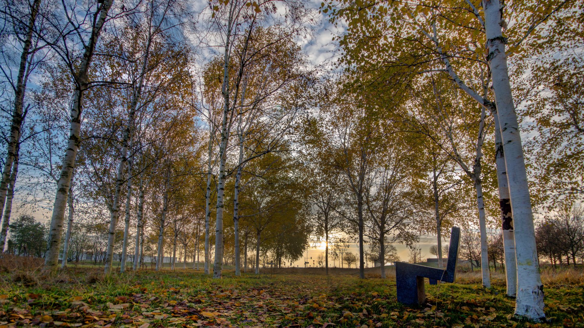 Herbstspaziergang