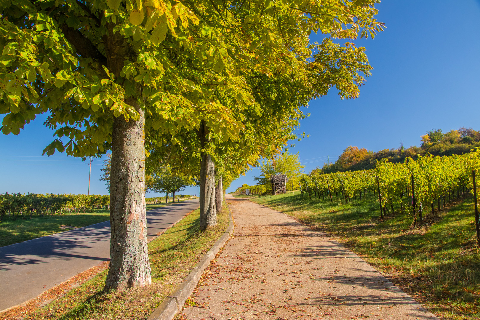 Herbstspaziergang