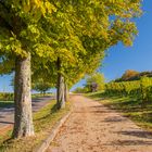 Herbstspaziergang