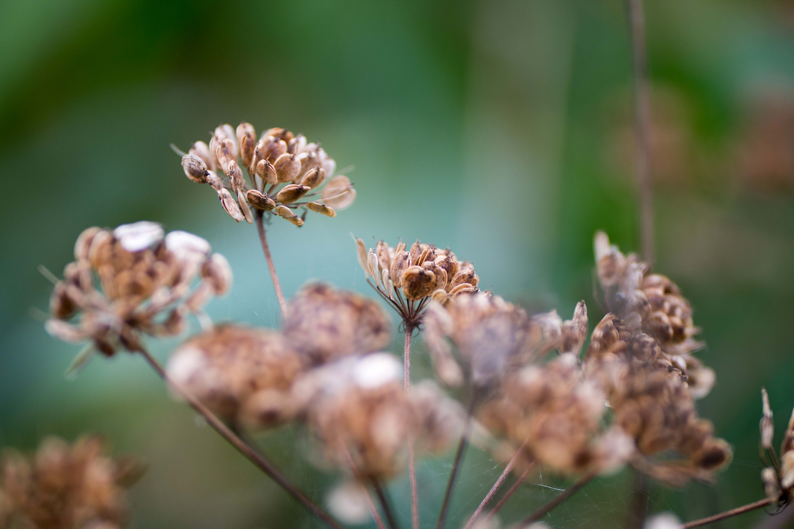 Herbstspaziergang