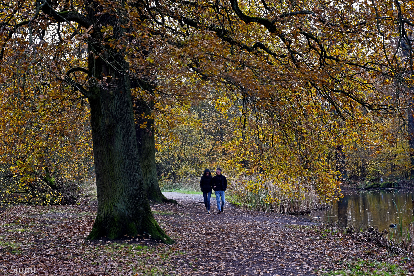 Herbstspaziergang