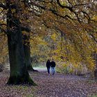 Herbstspaziergang