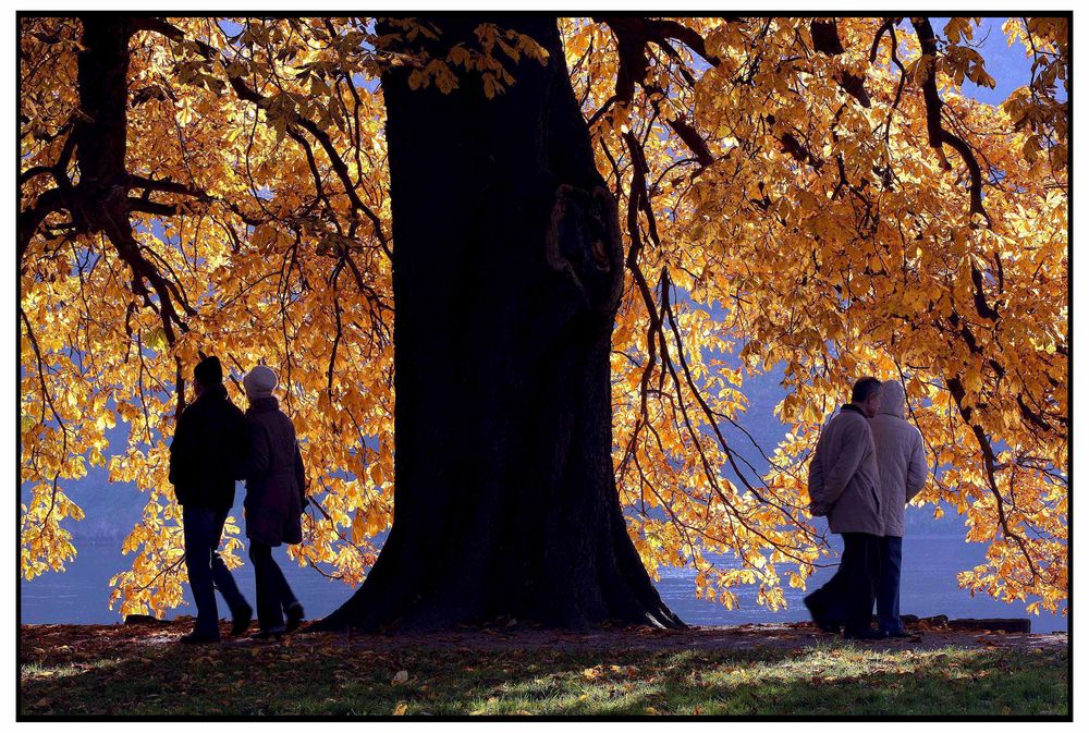 Herbstspaziergang