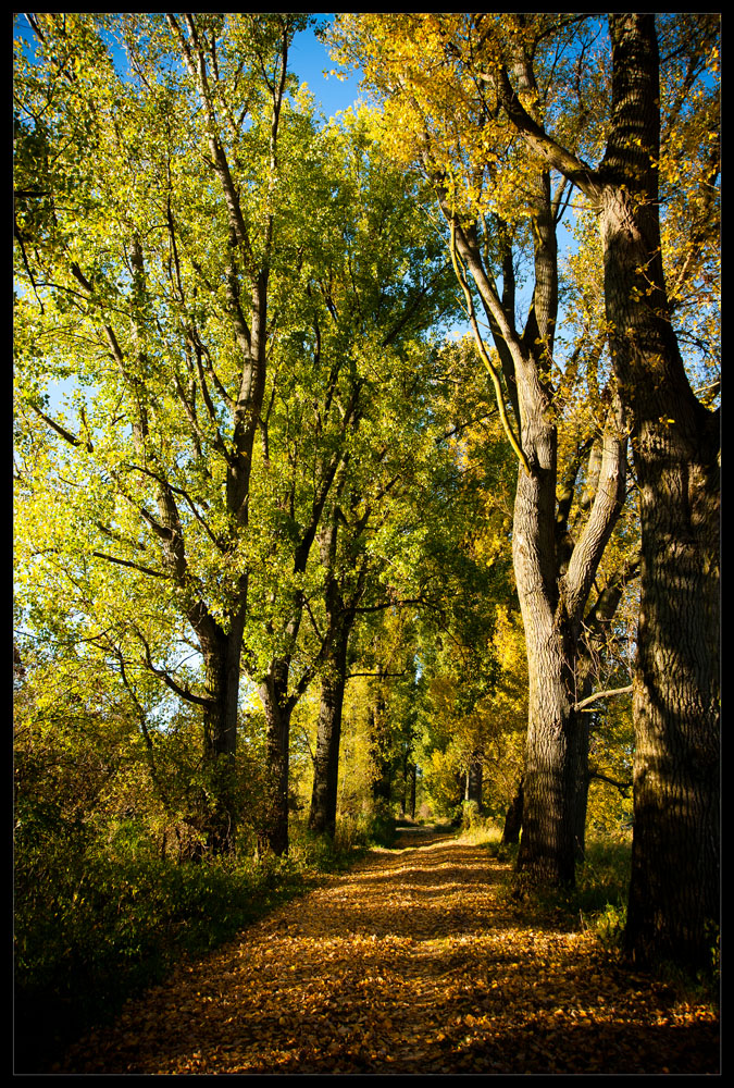 Herbstspaziergang