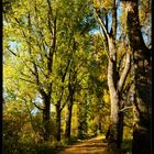 Herbstspaziergang