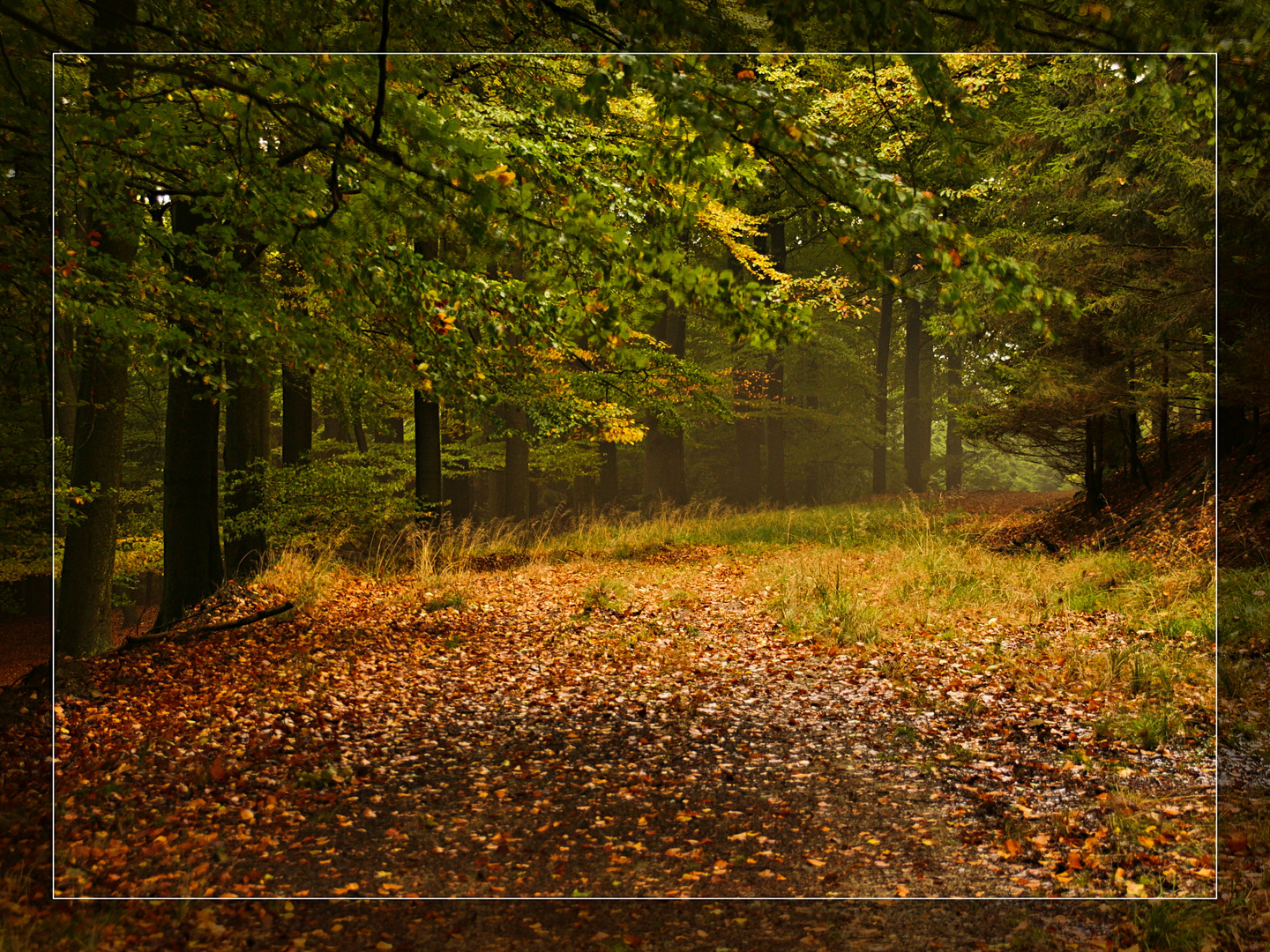 Herbstspaziergang