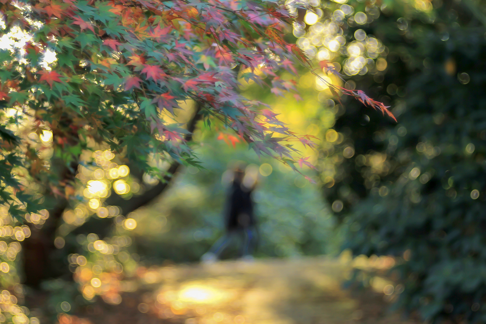 Herbstspaziergang