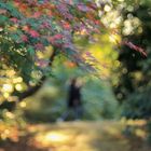 Herbstspaziergang