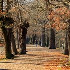 Herbstspaziergang