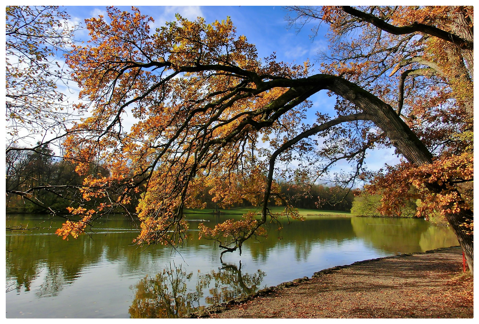 Herbstspaziergang . . .