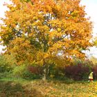 Herbstspaziergang