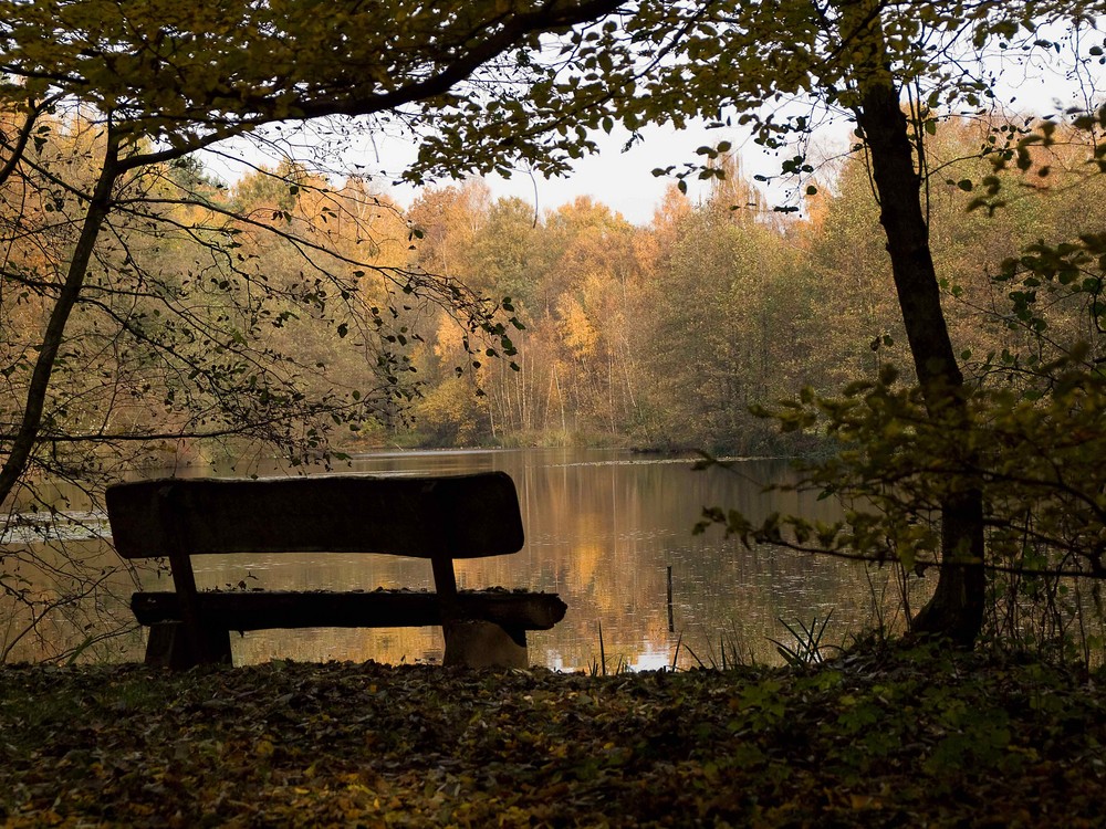 Herbstspaziergang