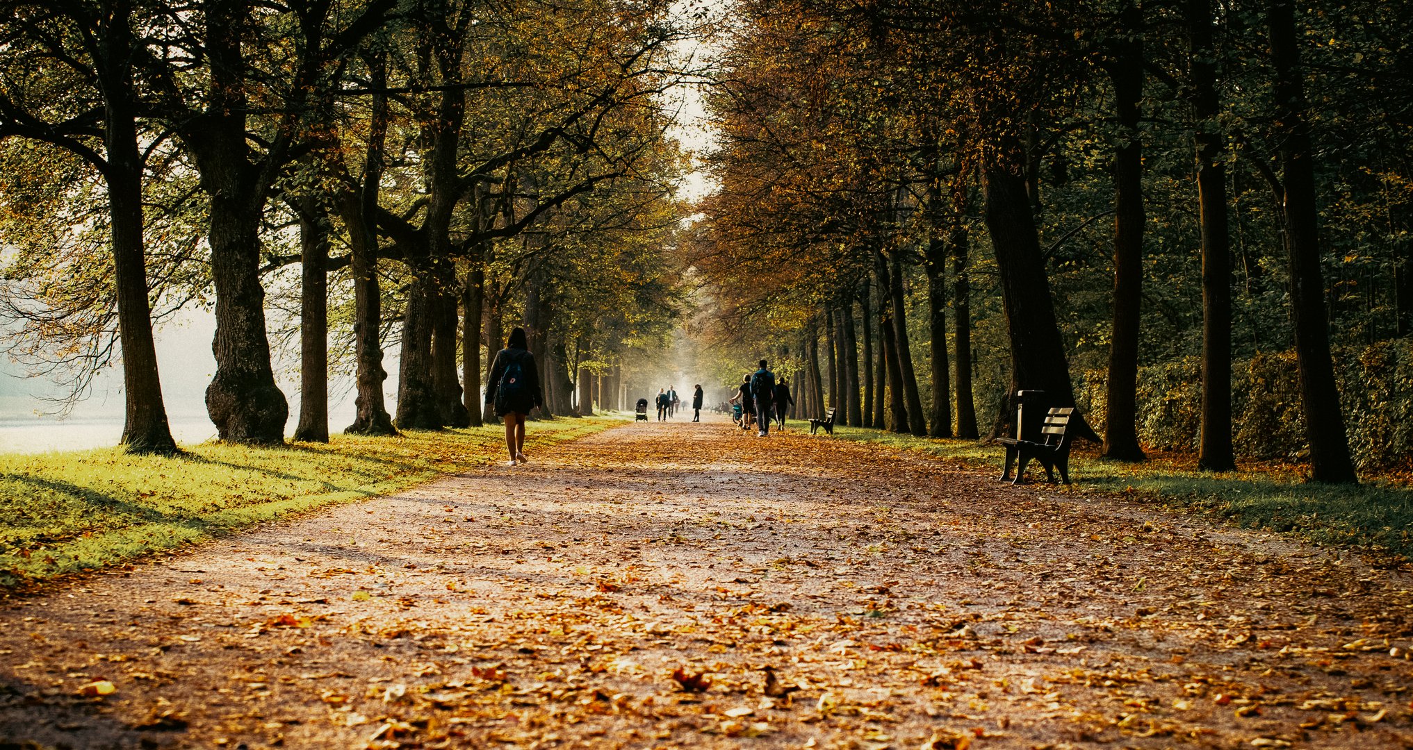 Herbstspaziergang