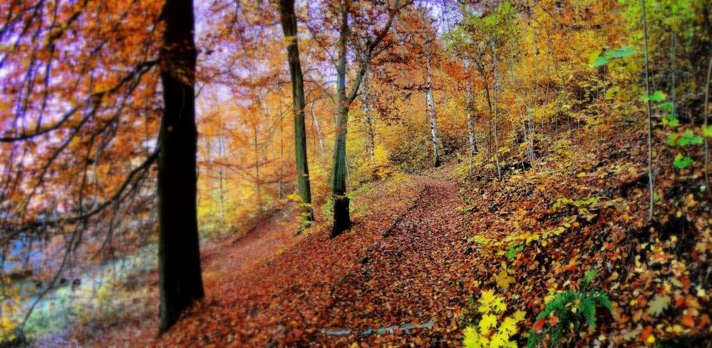 Herbstspaziergang