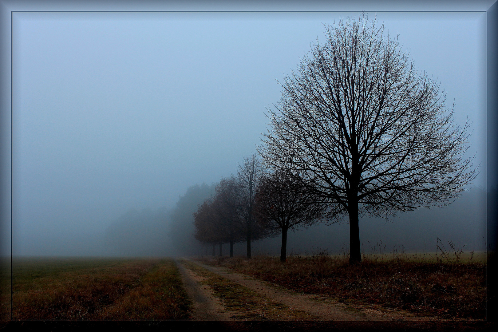 Herbstspaziergang