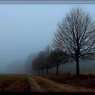 Herbstspaziergang