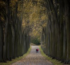 Herbstspaziergang 