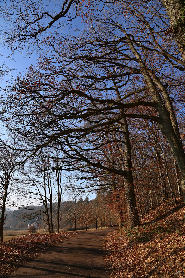 Herbstspaziergang