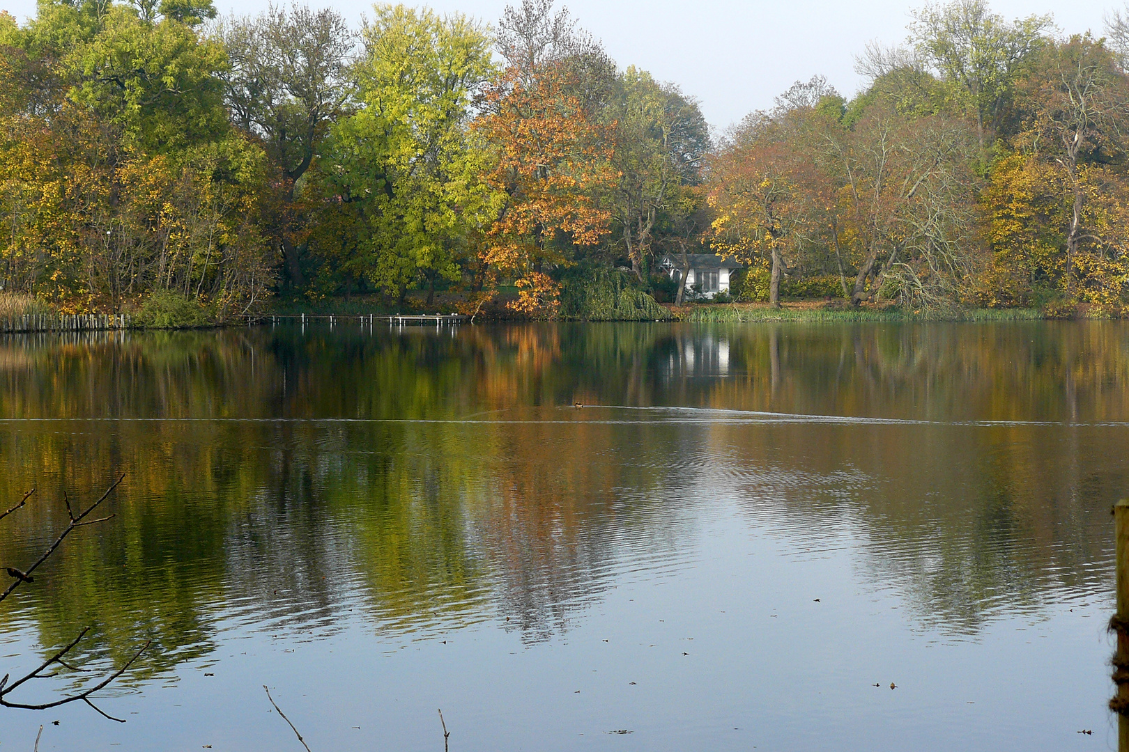 Herbstspaziergang 2