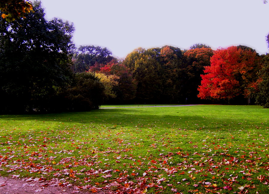 Herbstspaziergang 2