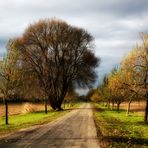 Herbstspaziergang 2