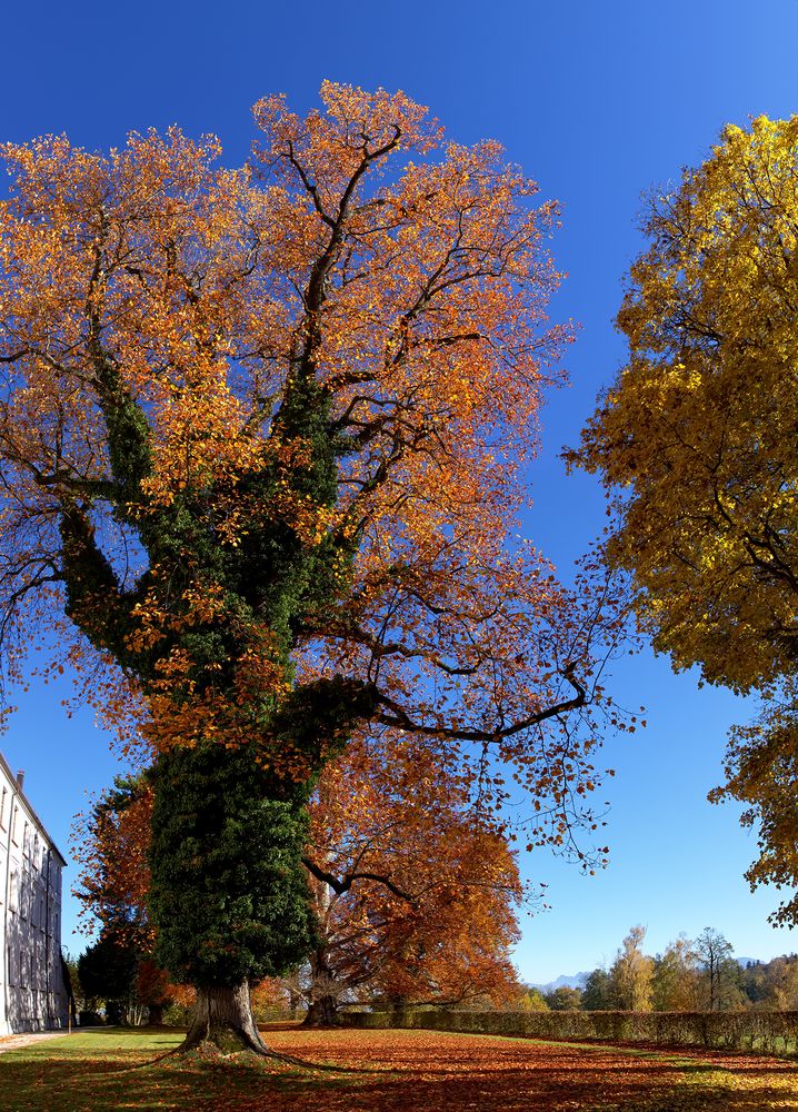 Herbstspaziergang 2