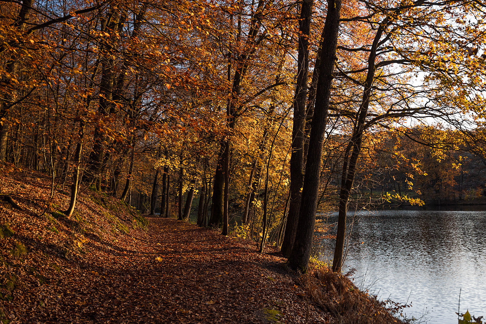 Herbstspaziergang 2