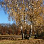 Herbstspaziergang 2