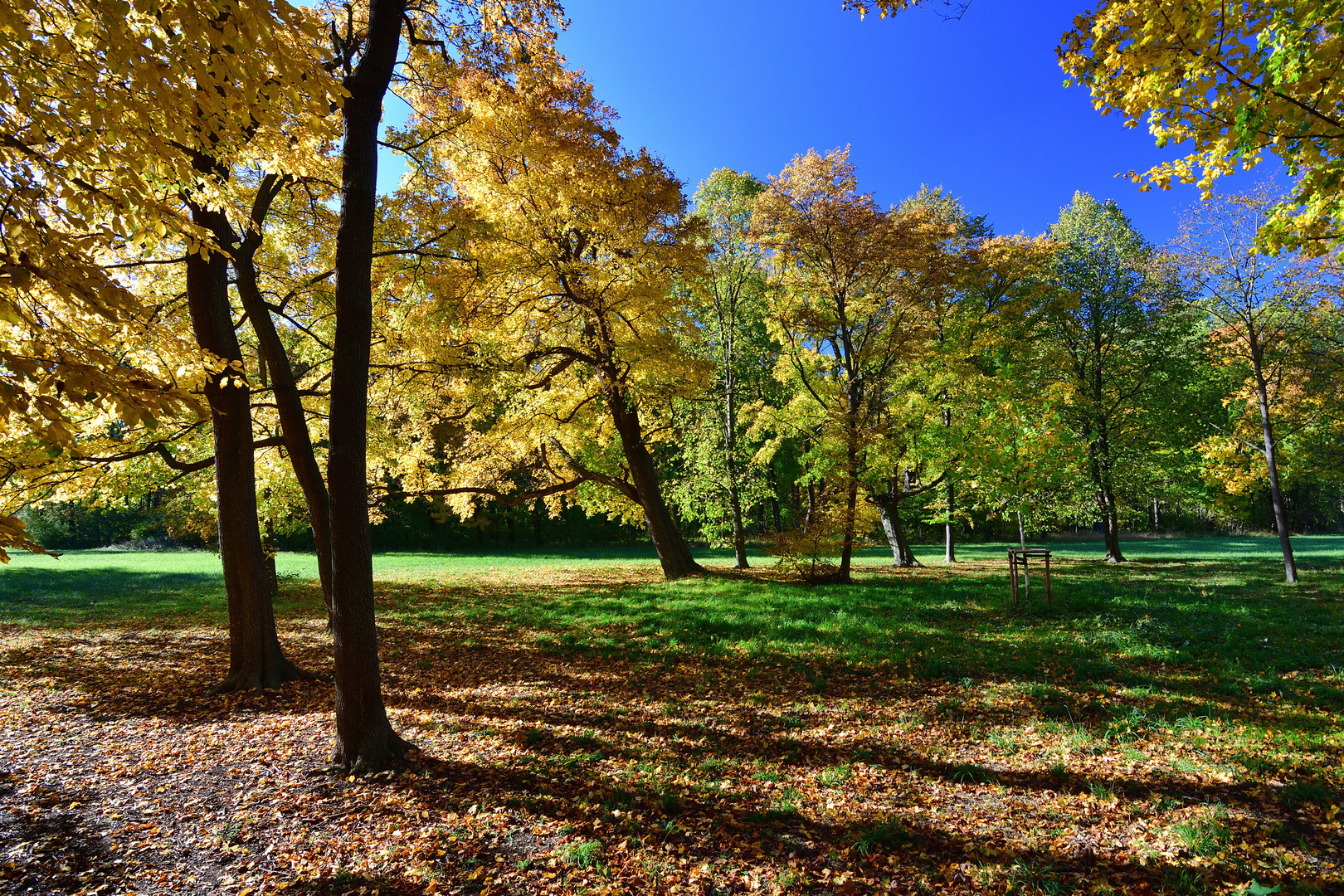 Herbstspaziergang 2