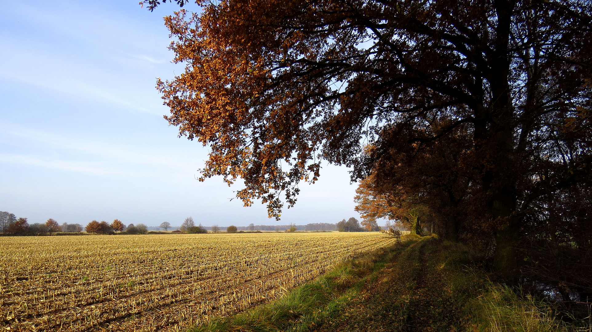 Herbstspaziergang 2