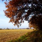 Herbstspaziergang 2